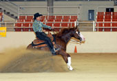 Kathy Copus and Gunball Machine win many classes at Showtime Classic, including NRHA Non Pro Reining.