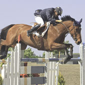 Buddy Brown and Nola 4 take second place in the $7,500 Woodside Jumper Classic.