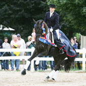 Elizabeth Ball and Selten HW win the USEF Young Horse Dressage Championship.