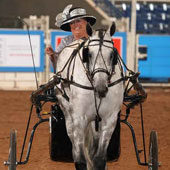 Kathy Hunt and Skys Moon Pie win their first AQHA Bayer Select World Championship in Pleasure Driving.