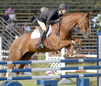 Theodore Boris wins the USEF Talent Search Finals West on Sept. 20 at the L.A. International Jumping Festival.