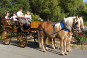 Tom and Connie Hodgson, in front, will drive their Linzer Wagonette in the 2010 Rose Parade, pulled by their team of geldings, Whiz Kid and Woody. Son and daughter Luke and Hannah Hodgson will ride.