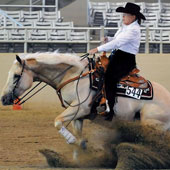 Jeanne Kelly and her Peppy Dun Hollywood win the NRHA Southwest Regional Affiliate Finals in the Rookie division.