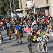 Members of the Region One Versatile Arabians achieve their goal of riding in the 2010 Rose Parade.
