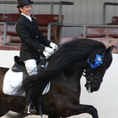 Janna Goldman of Greenbrae on Feb. 27 received the 2009 President’s Trophy Award, the most prestigious year-end award of the Friesian Horse Association of America.