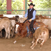 Like they did in this 2009 photo, Doug Williamson and Smart Miss Merada won the 2010 NRCHA Hackamore Classic in Paso RObles April 25. 