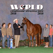 Way Exclusive was named ApHC World Champion Aged Gelding.