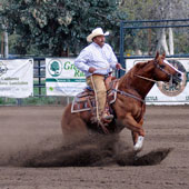 Jimmy Flores stops Peppinic, owned by Grant Williams, en route to the Senior Working Cow Horse crown.