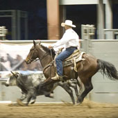Don Douglas of Paicines and Bay Joe show off their working cow horse skills in the Finals of Extreme Mustang Makeover in Norco May 13-15.