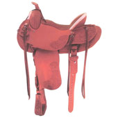 Stolen saddle