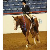 Morgan Deuschle of Bishop and One Hot Machine claimed three AjPHA World titles in the Walk-trot classes.