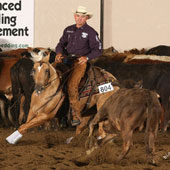 Jake Gorrell rode Bill Dickinson's Dulces Smart Belle to the NSHA Open Futurity title, earning $20,000