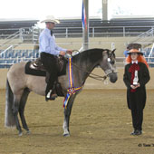 Tio Pepe TA won Western Pleasure Junior Horse title at the 2011 Andalusian Region 1 Show Aug. 11-14 at the L.A. Equestrian Center.