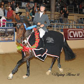 Saer Coulter and Springtime at the $50,000 L.A. International Sept. 21-25