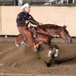 Todd Bergen and Smart Luck won the CD Survivor Bridle Spectacular sponsored by Holy Cow Performance Horses, earning $28,500. 
