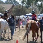 Exposing non-horse people in the community with the equestrians is important, says Patty Morton of the Twin Oaks Valley Equestrian Association in San Marcos. At the Horse Heritage Festival, horse groups come together to share -- and demonstrate -- their passion.