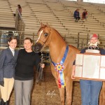 Owner Karsyn Patterson (left), who handled her Signify DDA to Gelding Halter ATR wins as well as in the SEAHA Hunter Pleasure classes, lines up for her Supreme Halter Championship win photo along with Samantha Price.