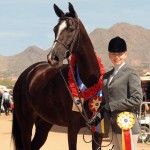 Trainer Katherine Rich-Elzig took Debbie Moss's Witch And Famous to the Scottsdale Champion Half-Arabian Sport Horse In-Hand Mare.