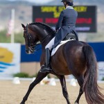 In their debut of a new freestyle, Sabine Schut-Kery and her Sanceo edged Elizabeth Ball with a winning 73.950% at the Capistrano Dressage.