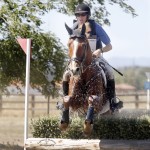 Tivoli, ridden by James Alliston to the Galway Downs International Horse Trials CIC3* Championship March 29, looks fully recovered from an injury setback and ready to compete in Lexington, Ky., later this month.
