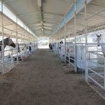 Deer Springs Equestrian Center