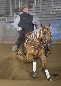 Open Champion Horse: Designed With Shine Rider: Riccardo Nicolazzi Owner: Julie Ridgeway note: co-champion