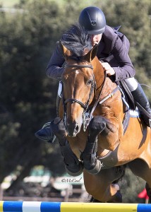 Jim Ifko and Un Diamant des Forets, owned by Eventyre Farms, topped the field in the $25,000 Markel Insurance 1.45m Jumper Classic on March 25.