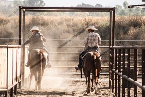 Cow horse competition returned to Green Acres Ranch, where the SCRCHA club originally competed years ago.