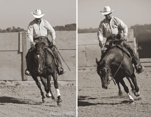 Here is a horse (left) that is dropping his shoulders to the inside. You can correct this by pushing the ribs way out (right).