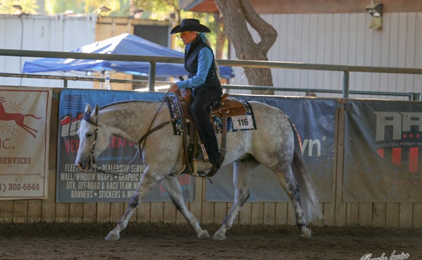 Horsetrader.com News » Article » Riding the Momentum